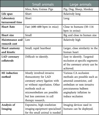 Large animal models for cardiac remuscularization studies: A methodological review